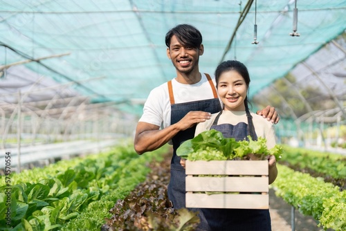 Two young Asian couple farmers working in vegetables hydroponic farm with happiness. man and woman farmer carrying box of green salads looking at camera with smile in the green house farm