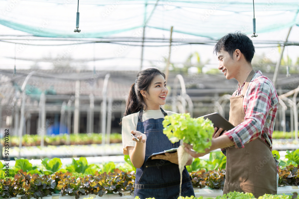 Asian woman and man farmer working together in organic hydroponic salad vegetable farm. using tablet inspect quality of lettuce in greenhouse garden