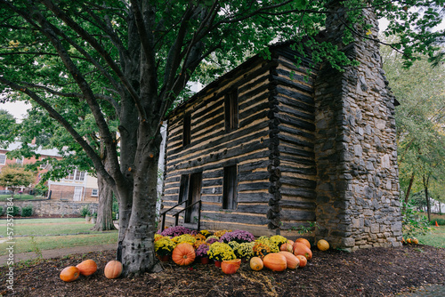 Beautiful pumpkins  in fall