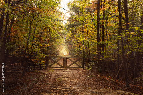 Pilot Mountain in North Carolina