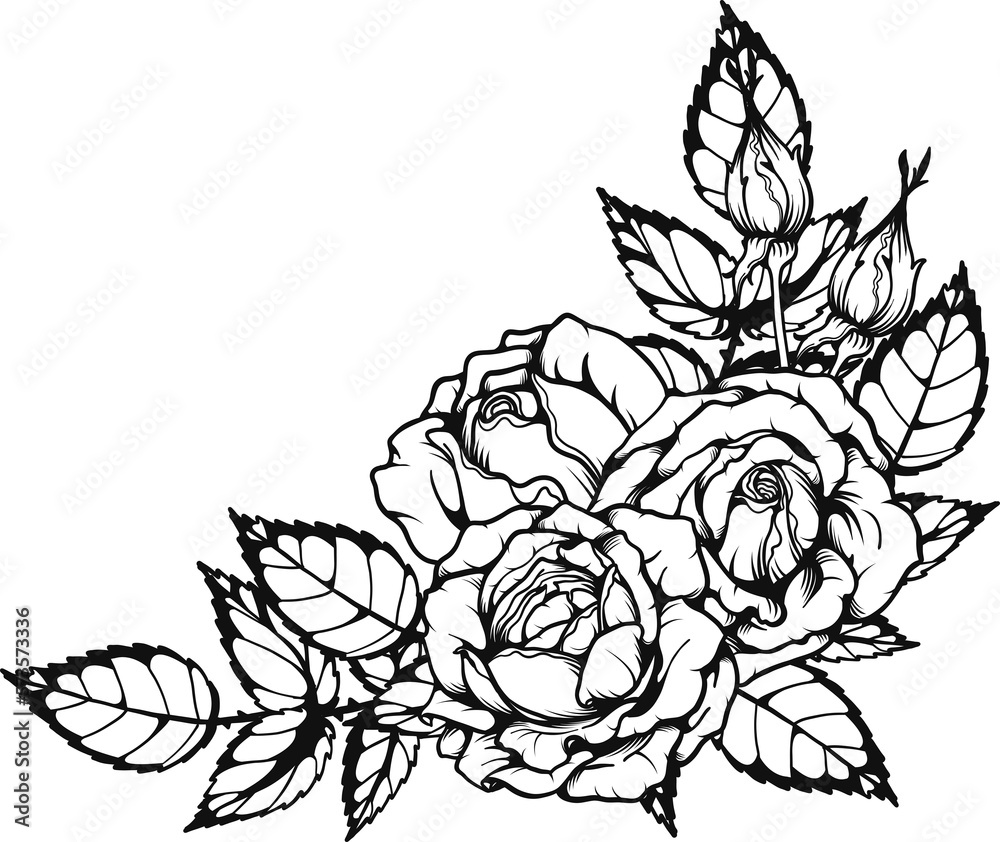 custom made wallpaper toronto digitalBreath of life rose png.Beautiful flower on transparent background.