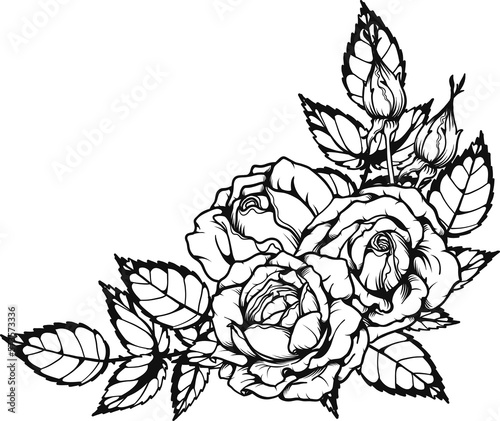 Wallpaper Mural Breath of life rose png.Beautiful flower on transparent background. Torontodigital.ca