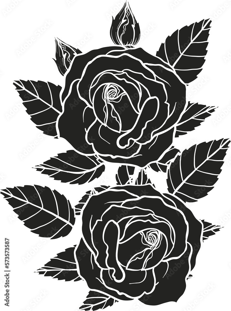 Breath of life rose png.Beautiful flower on transparent background. Breath of life rose png.Beautiful flower on transparent background.