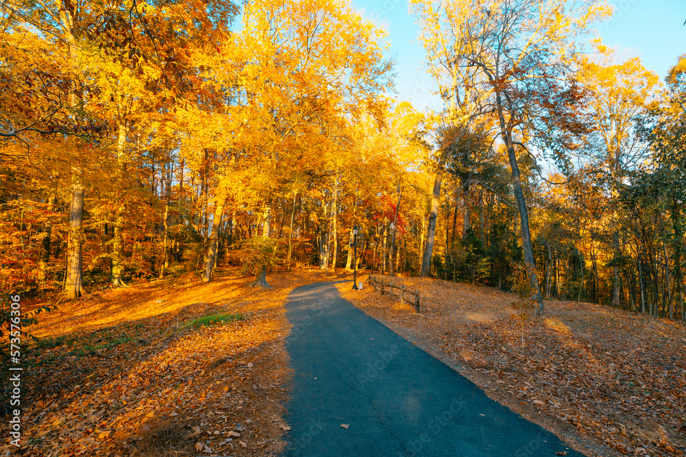 Obraz premium Fall in the park