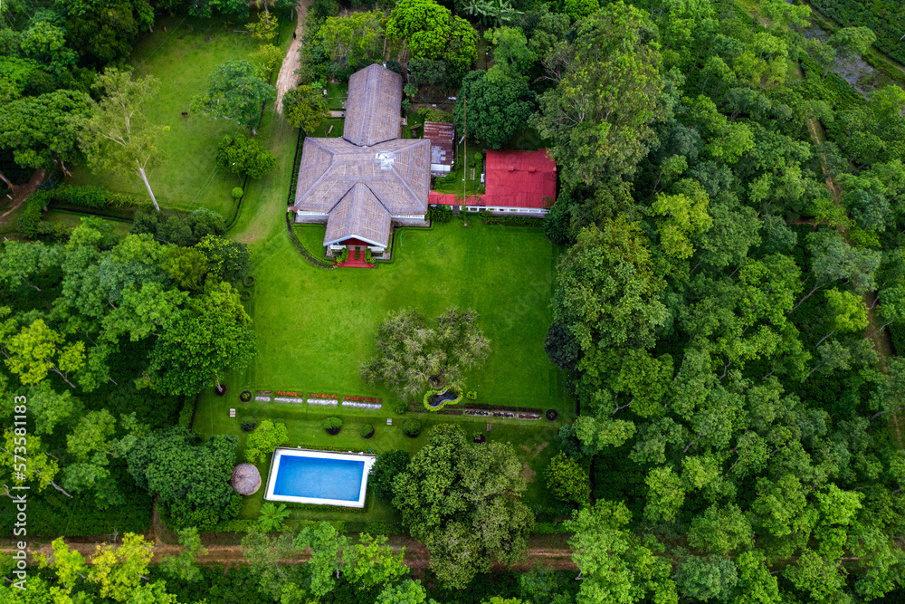 Naklejka premium green tree in the garden