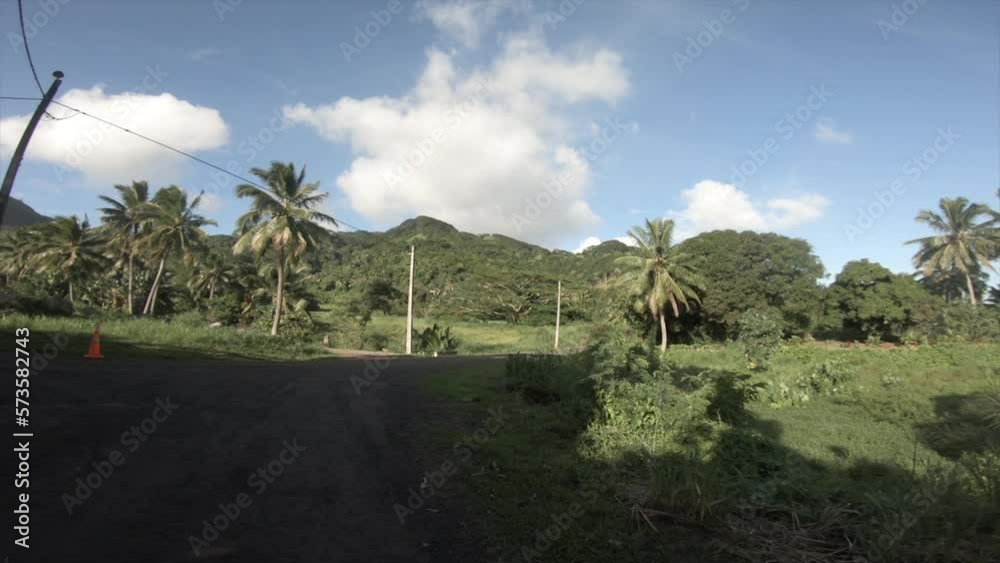4k moving forward walking view at a backroad in tropical Pacific Cook Islands where Polynesian culture inhabitants with flourish vegetation and coconut trees along dirt road in green field with hill  