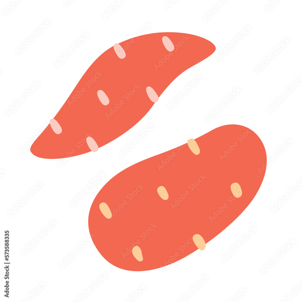 Potatoes icons, sweet potato doodle, vector illustration of organic yam vegetables, farm food products, grocery and greengrocery, cooking ingredient, batat, isolated colored clipart , white background