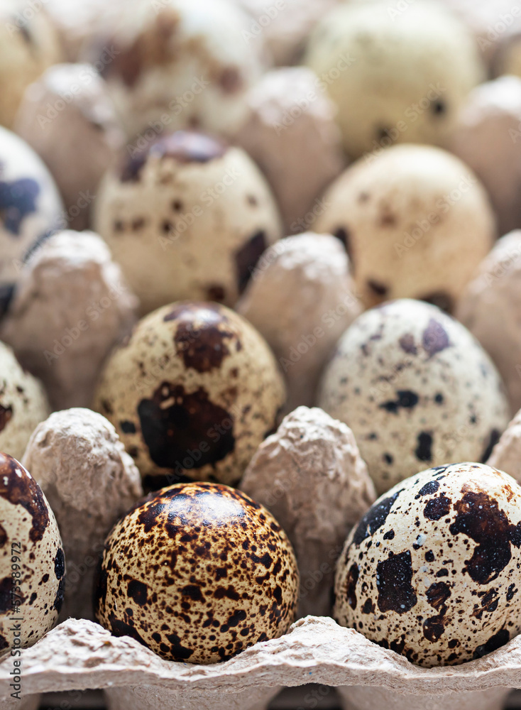 Organic farm quail eggs in paper container close up macro Organic farm quail eggs in paper container close up macro