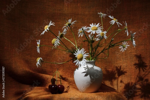 Draped background. Still life of flowers - summer blooming chamomile