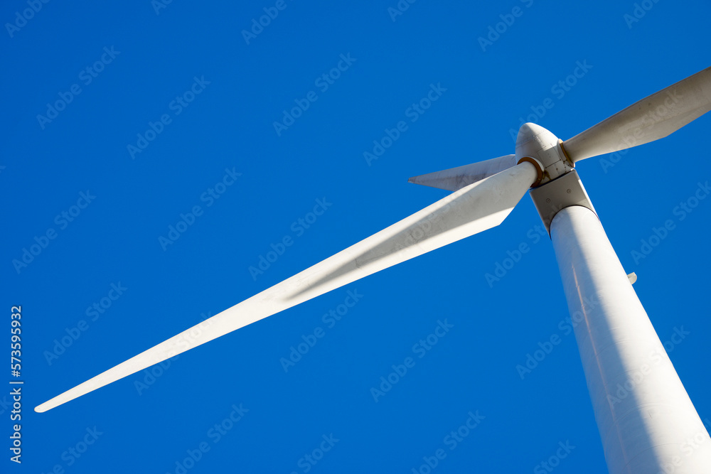 Wind turbine generator for sustainable electricity production Wind turbine generator for sustainable electricity production