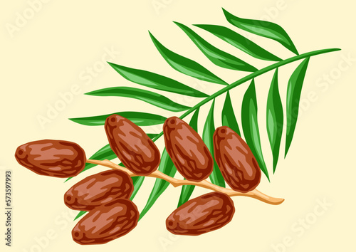 Illustration of dates fruits and palm leaves. Tropical vegetarian food for healthy lifestyle.
