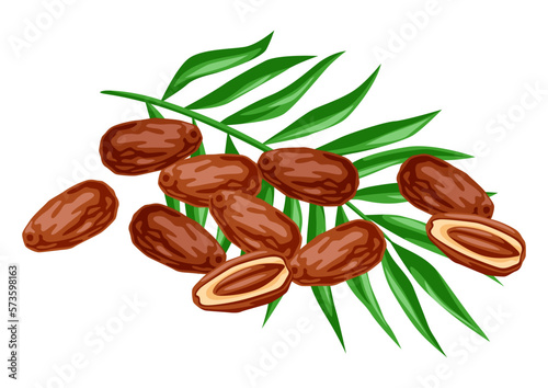 Illustration of dates fruits and palm leaves. Tropical vegetarian food for healthy lifestyle.