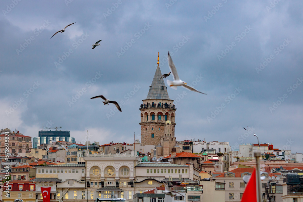 Fototapeta premium Istanbul view. Galata Tower and seagulls