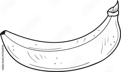 Hand drawn banana. Vector illustration. Fruits, nutritious and healthy foods. Doodle style.
