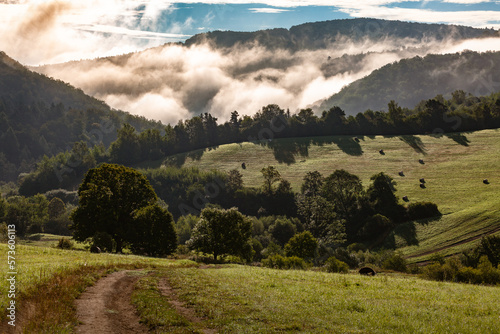 Fototapeta Naklejka Na Ścianę i Meble -  Idyllic landscape of green morning mountains, Bieszczady, Poland