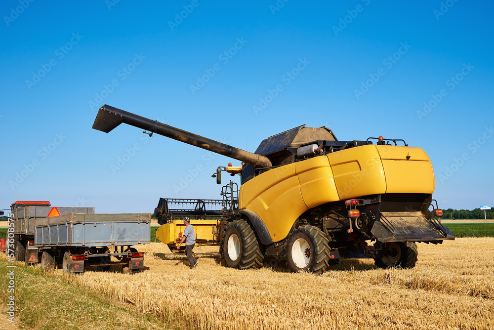Yellow combine harvester pouring grain into tractor trailer. Harvest season. Yellow combine harvester pouring grain into tractor trailer. Harvest season.