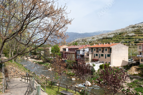 Φωτογραφία Cabezuela del valle in the flowering of the cherry trees in the Jerte Valley, in