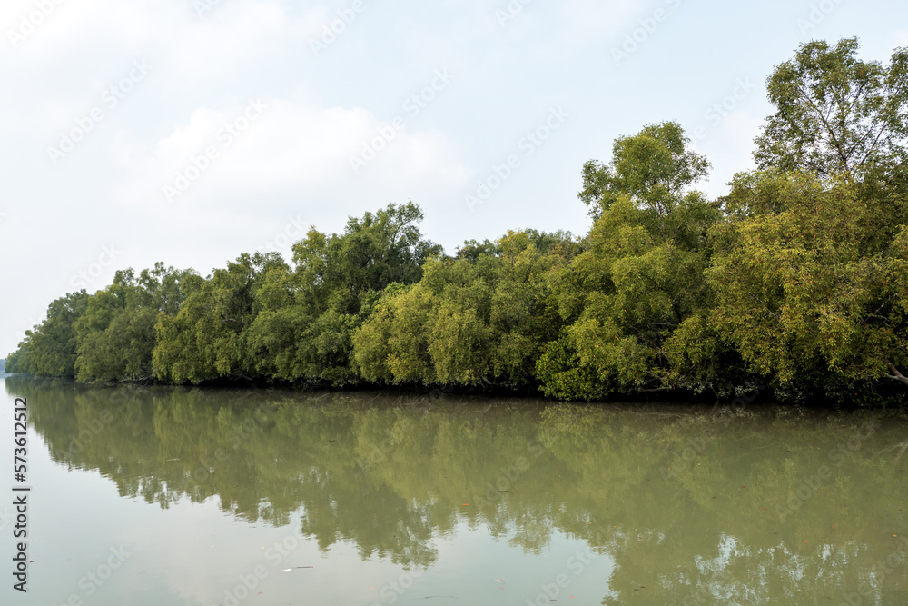 Sundarbans National Park.Sundarbans is a tidal wetland forest delta with an area of about 10,200 square km across India and Bangladesh. this photo was taken from Bangladesh. Sundarbans National Park.Sundarbans is a tidal wetland forest delta with an area of about 10,200 square km across India and Bangladesh. this photo was taken from Bangladesh.