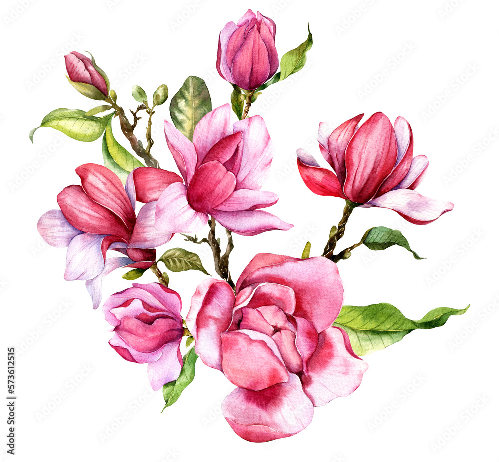 Pink magnolia Flower Bouquet Watercolor Illustration, Magnolia Arrangement on white background, Spring Floral Illustration