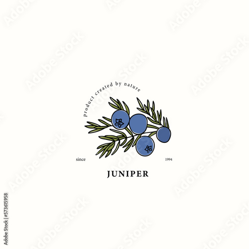 Line art juniper branch drawing

