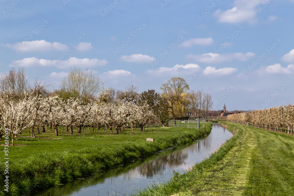 Flowering fruit trees with the church tower of the town of Buren in the Betuwe in the background.