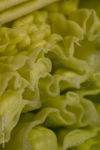 Close up image of green vegetables
