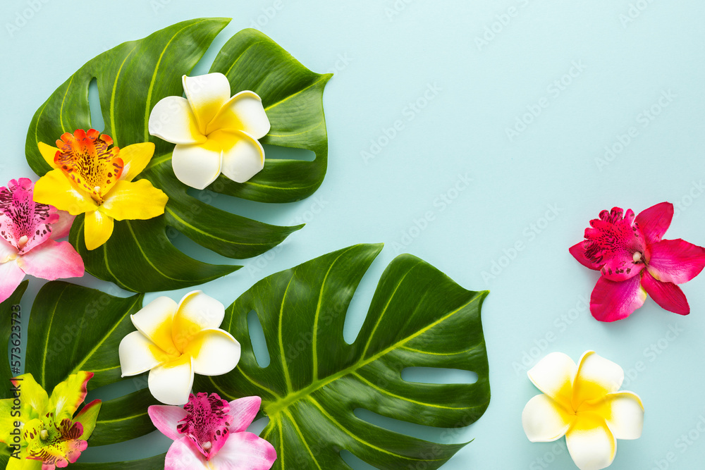 Summer background with tropical orchid flowers and green tropical palm ...