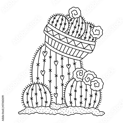 Round cactuses with flowers. Desert plants in soil and pot. Home garden. Coloring page for kids and adults. Cartoon vector illustration. Hand drawn artwork. Outlined drawing. Isolated on white