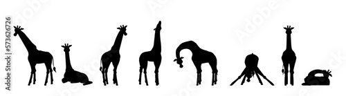 Set of giraffe silhouettes in different poses flat style, vector illustration