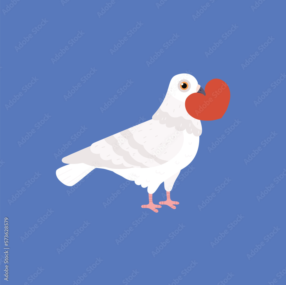 Cute white pigeon holding red heart in beak flat style, vector illustration Cute white pigeon holding red heart in beak flat style, vector illustration
