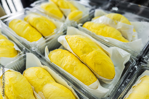 Close up durian flesh yellow gold . Bright yellow tropical fruit