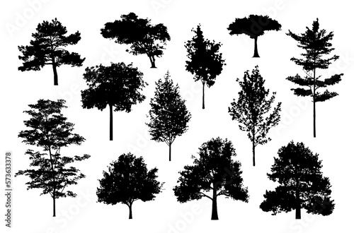 silhouette tree line drawing, Side view, set of graphics trees elements outline symbol for architecture and landscape design drawing. Vector illustration in stroke fill in white. Tropical, street tree