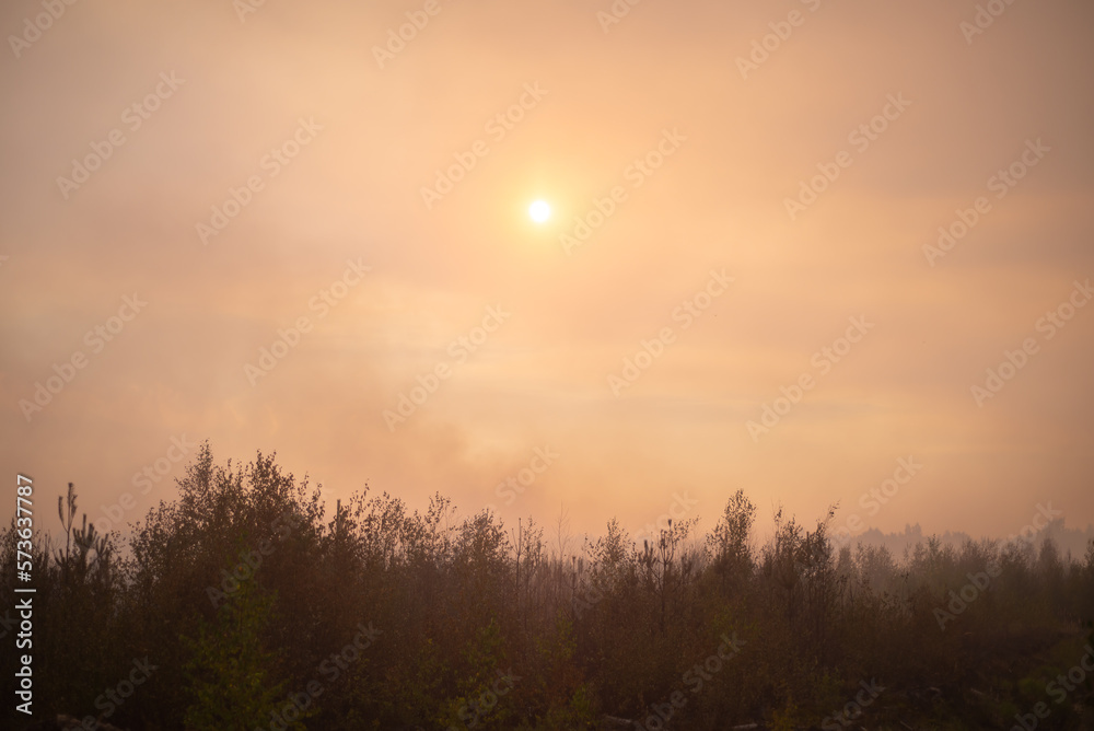 Red sun over smoking forest