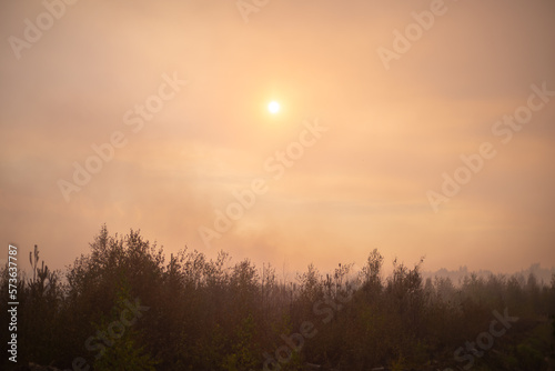 Red sun over smoking forest © vasvormich