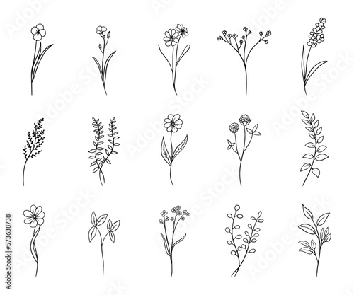 hand drawn flower set, doodle flowers, plants, botanical set, vector illustration