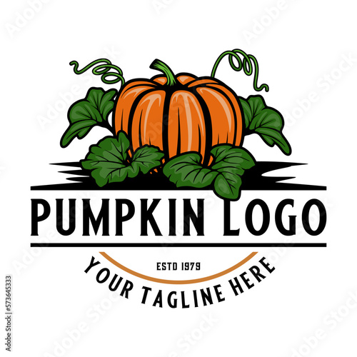 pumpkin farm logo design. pumpkin fruit lustration, healthy vegetable fruit, suitable for organic vegetable label, pumpkin farmer etc