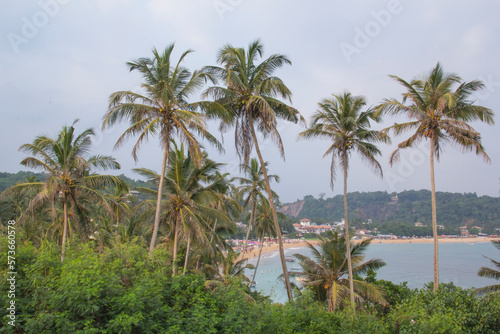 Beautiful view of the tropical beach of Sri Lanka on a sunny day © marinadatsenko