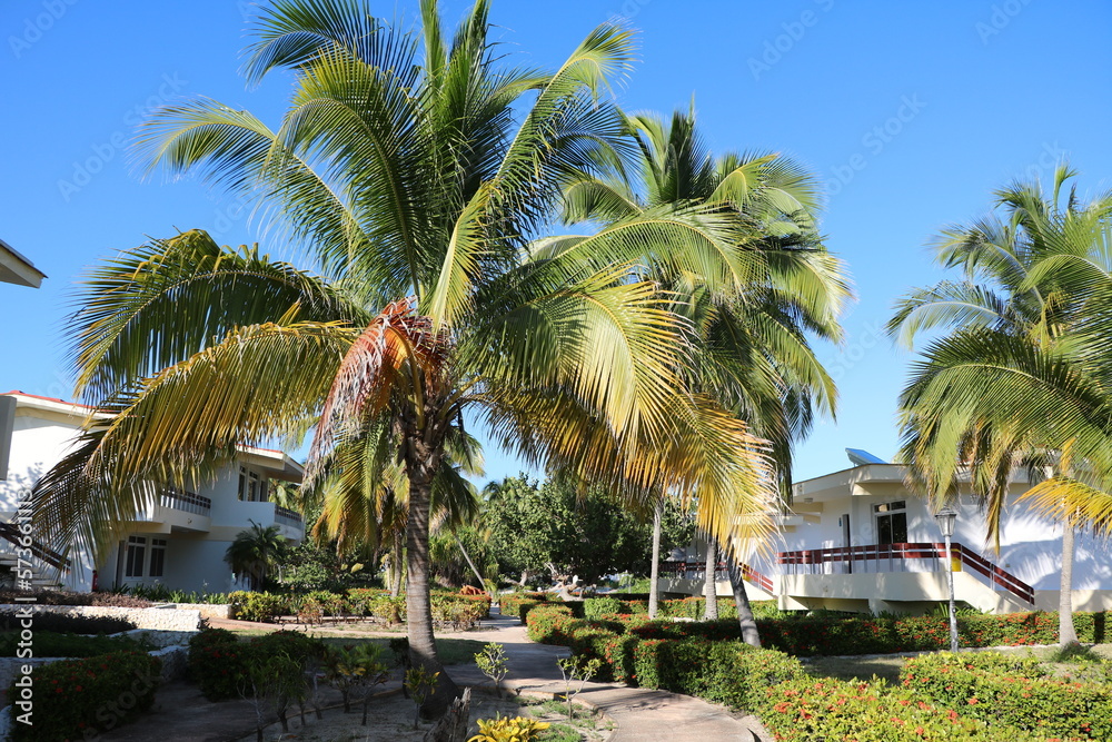 Holidays in Santa Lucia Cuba, Caribbean 
