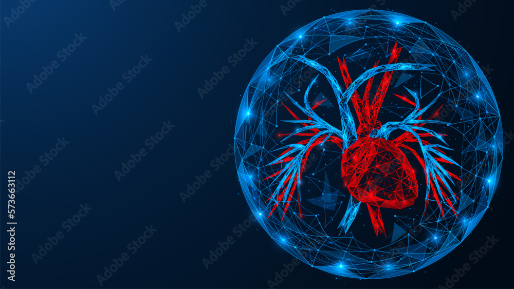 Heart and vessels in a spherical shell. Polygonal design of lines and