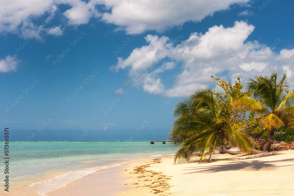 Sunny tropical Caribbean Island Tobago. Coconut palm trees, white sand beach,sunshine and turquoise water. Holiday paradise.