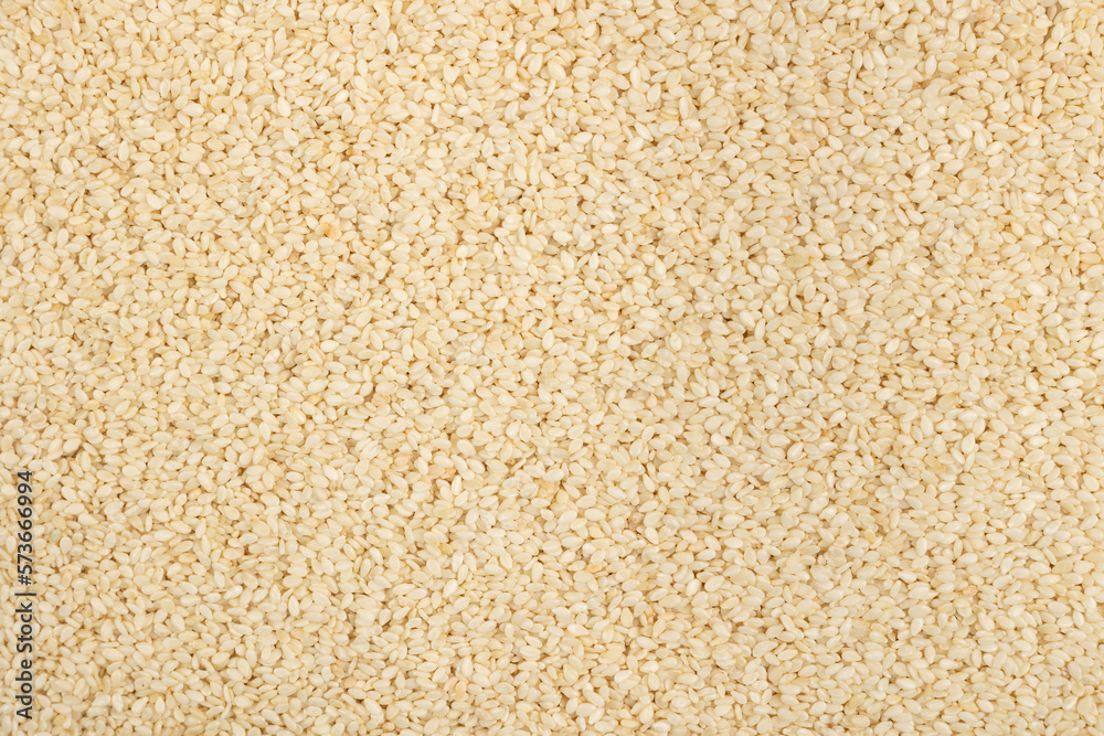 Sesame seeds background. White sesame texture. Sesame seeds background. White sesame texture.