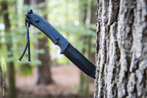 Tactical army knife stuck in a tree stump in a forest