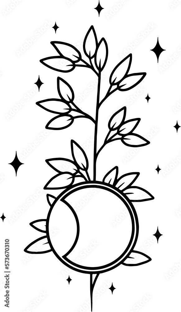 Fototapeta premium Minimalistic plants, flowers with moon