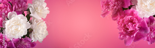 Banner with Bouquet of Pink Peonies on a magenta color background with empty space for text. Good for Womens day, Mothers day festive banner background. Spring Season sale backdrop.