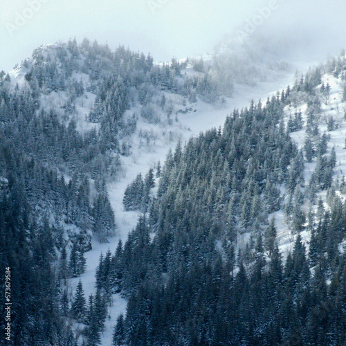 fog in the mountains