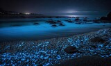  a beach covered in rocks and blue lights under a night sky.  generative ai