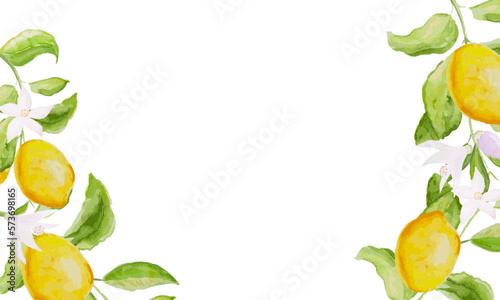 Watercolor lemon, branches and flowers. Watercolor background