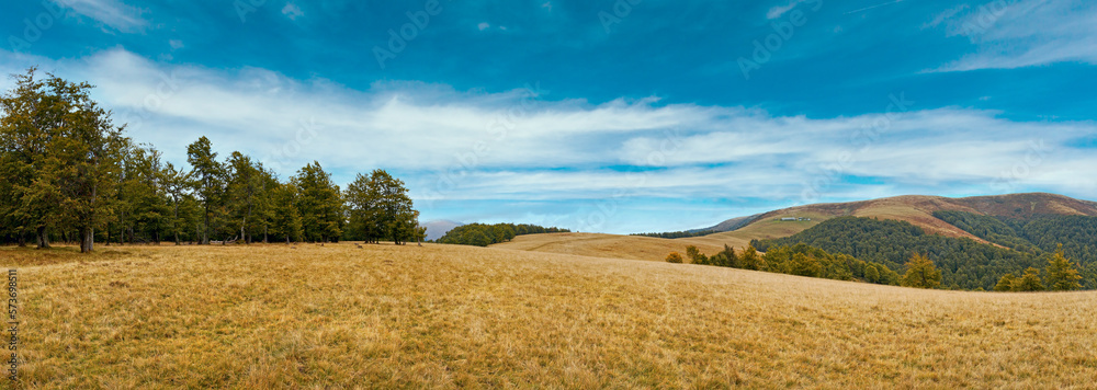 Cloudy Carpathian Mountains (Ukraine) autumn landscape.