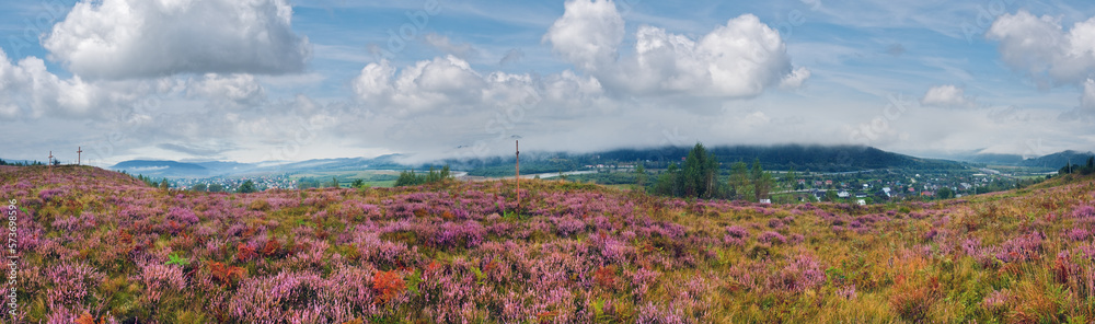 Summer morning country foothills panorama with heather flowers and wooden cross (Lviv Oblast, Ukraine).