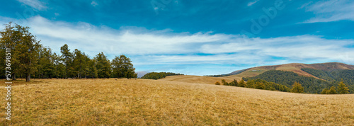 Obraz na płótnie Cloudy Carpathian Mountains (Ukraine) autumn landscape. w salonie